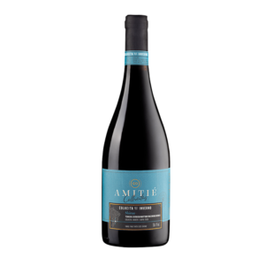 VH BRA AMITIE SHIRAZ TTO SC 750ML
